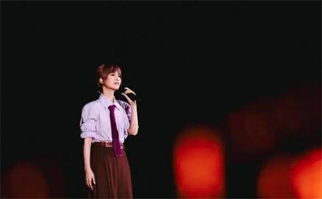《杨丞琳演唱会“河南人爱骗人”言论引争议，现场观众还原当时情景》