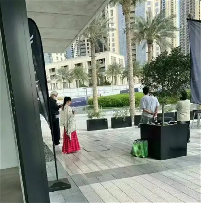 张庭夫妇：迪拜奢华豪宅背后的财富传奇