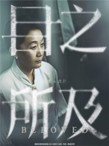 沈静