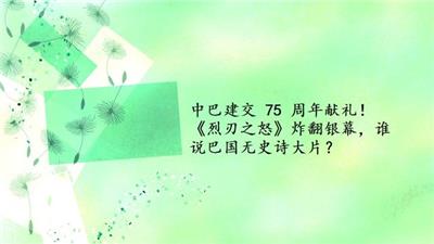 中巴建交 75 周年献礼！《烈刃之怒》炸翻银幕，谁说巴国无史诗大片？