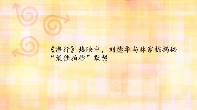 《潜行》热映中，刘德华与林家栋揭秘“最佳拍档”默契